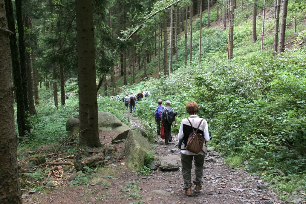 Fewo Amsbergstrasse Bad Harzburg Phòng bức ảnh